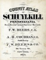 Schuylkill County 1875 